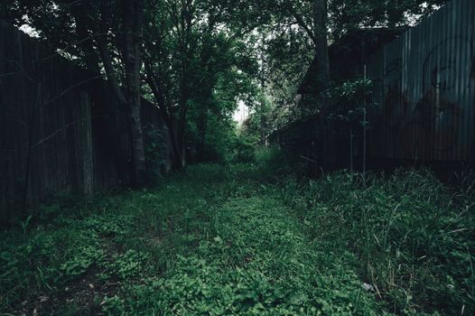Abandoned Land Full of Trees and Green Grass 
