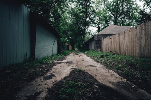 Free Explore a peaceful village alley bordered by wooden fences and lush green trees, perfect for a rustic and quiet setting. Stock Photo
