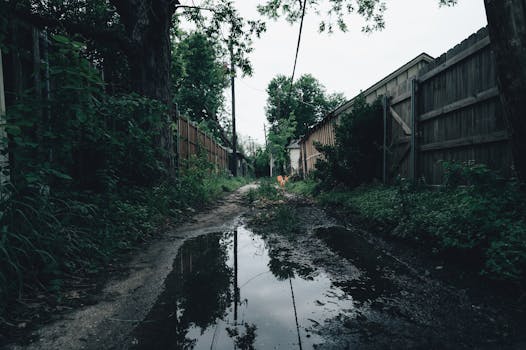 A serene alleyway captured after rain, with puddles and lush greenery lining a wooden fence.