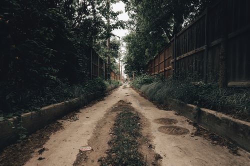 Free A narrow concrete path surrounded by wooden fences and lush greenery. Perfect for urban exploration themes. Stock Photo