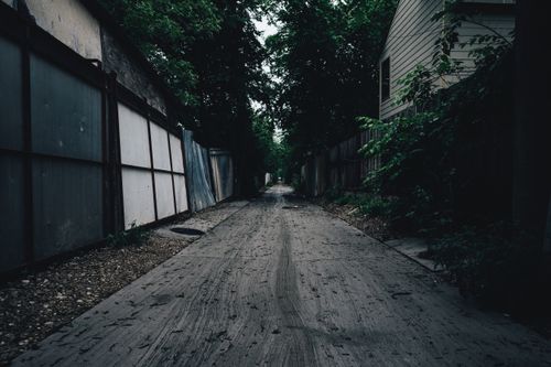 Free Dark and eerie alleyway lined with trees and fences, creating a moody atmosphere. Stock Photo