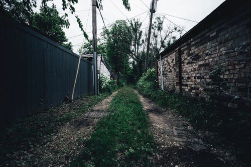 Free An overgrown alleyway lined with a tall brick wall and fences, evoking a sense of solitude. Stock Photo