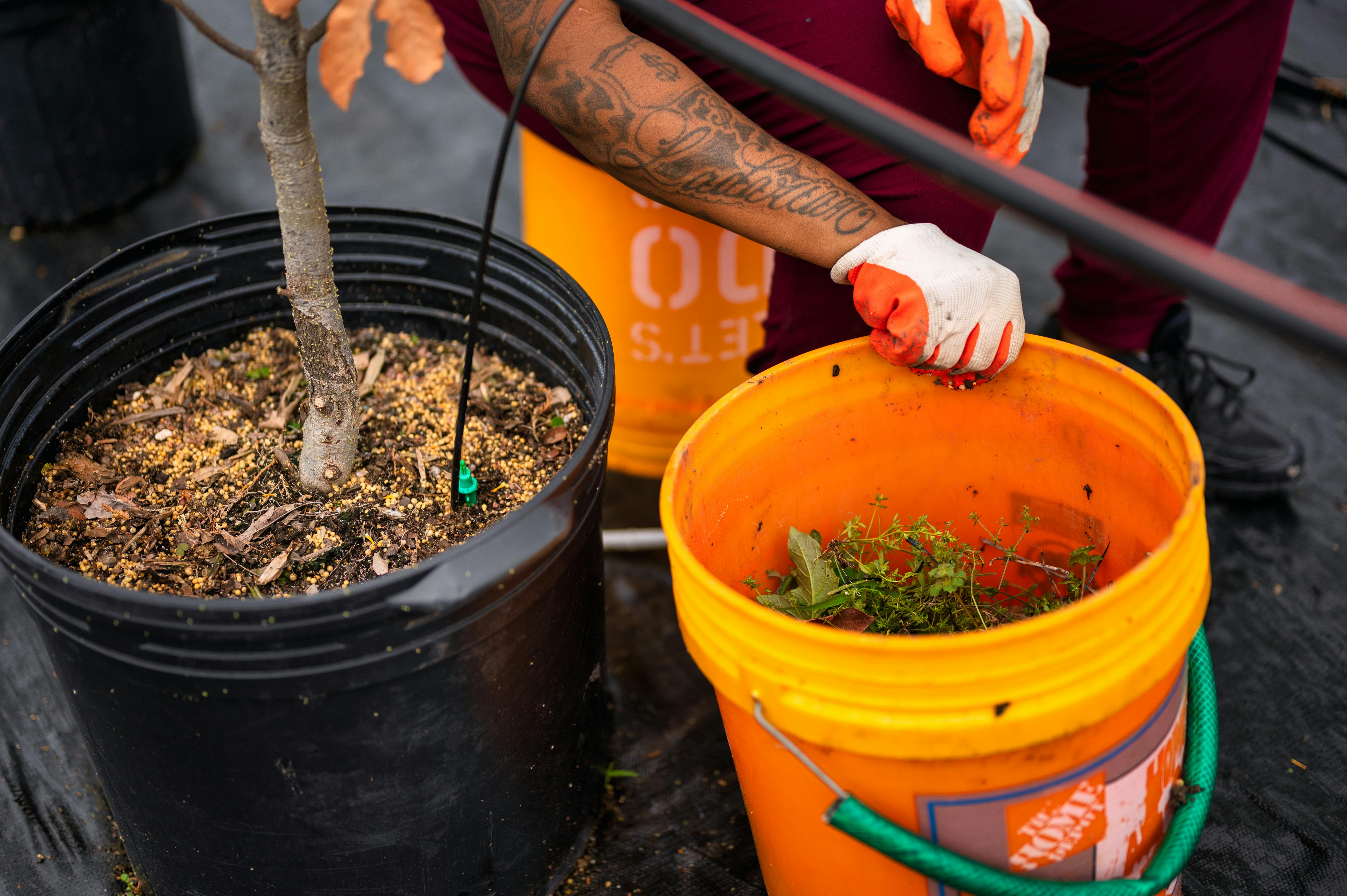 The Gardening Tools That Horticulturalists at America’s Biggest Botanical Centers Swear By — Photo by Alfo Medeiros on Pexels