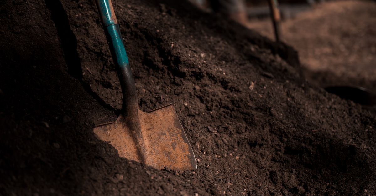 Top Soil Near Me in Metro Detroit