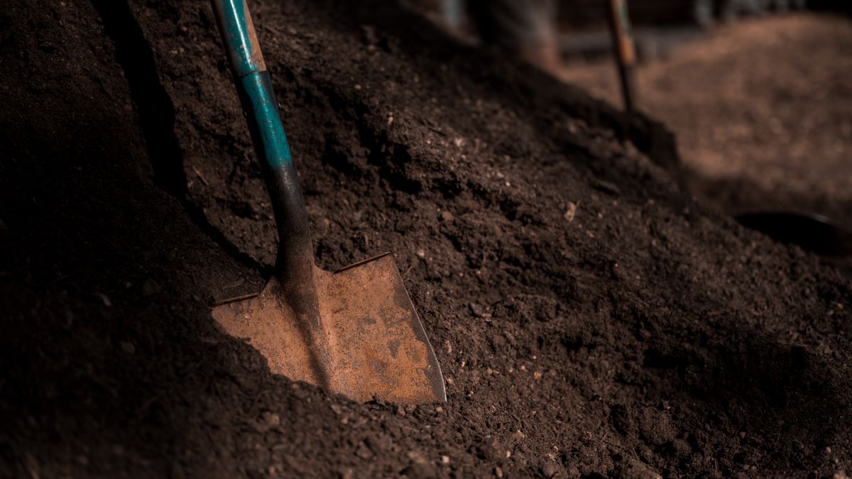 A shovel standing in a pile of dark topsoil. Loose soil settles, which is why the calculator adds a few percent.