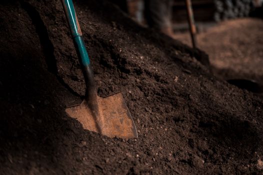 Shovel embedded in dark soil, showcasing texture and gardening tools.