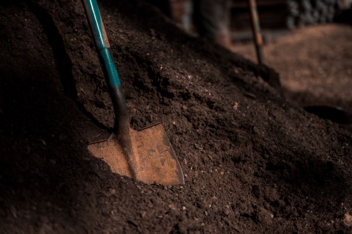 Spade set into a bank of dark soil — photo by Alfo Medeiros on Pexels