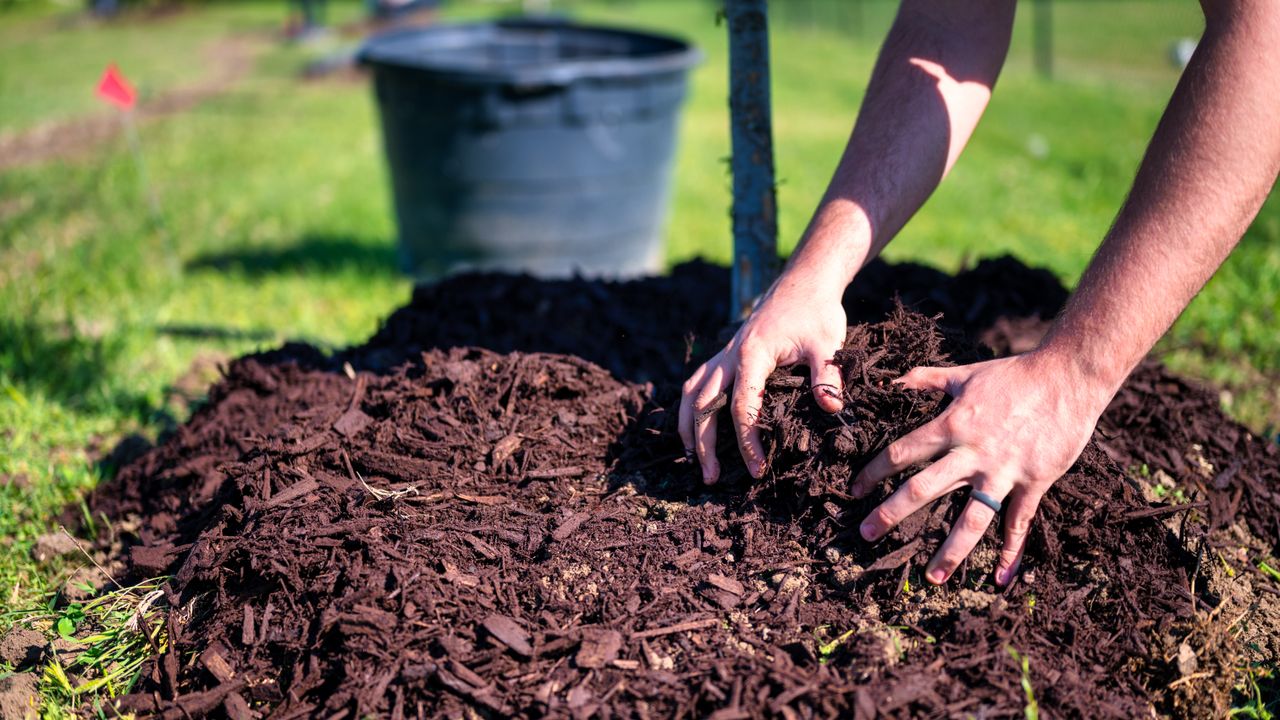 Mulching — Tree Services & Landscaping, Holland MI