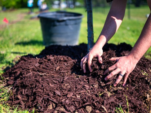 Mulching