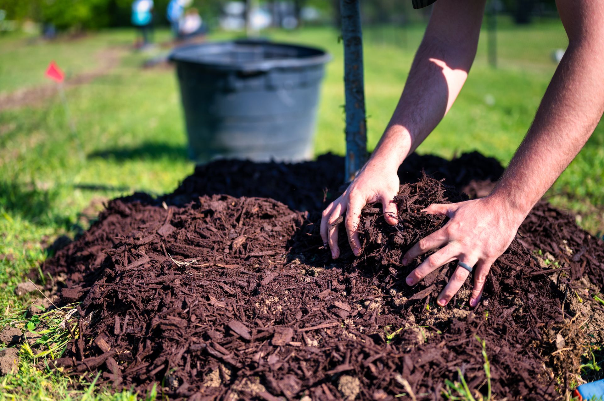 Hands on a Pile of Dirt