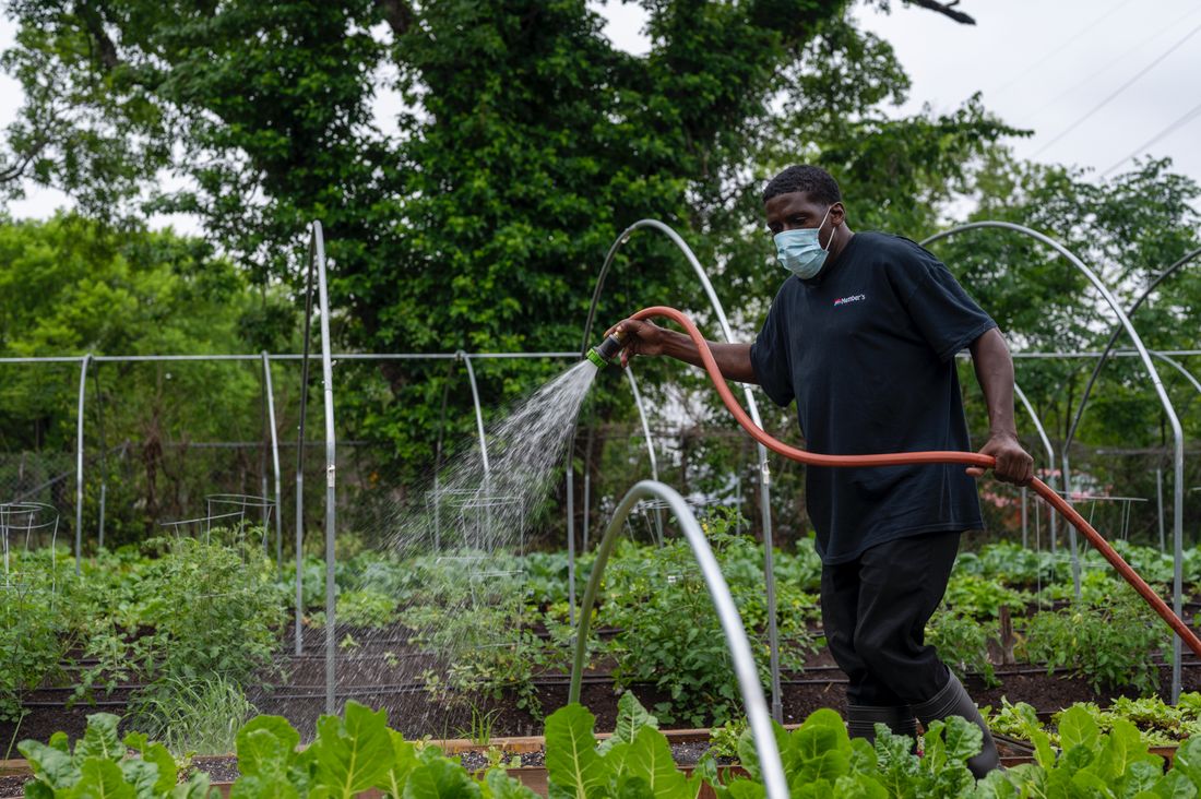 Gardener Watering Plants