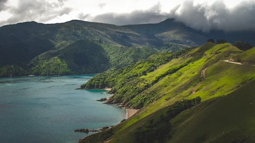 Foto d'estoc gratuïta de arbres, cel ennuvolat, Costa