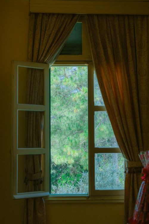 Free A tranquil view of lush green trees through an open window with elegant curtains. Stock Photo