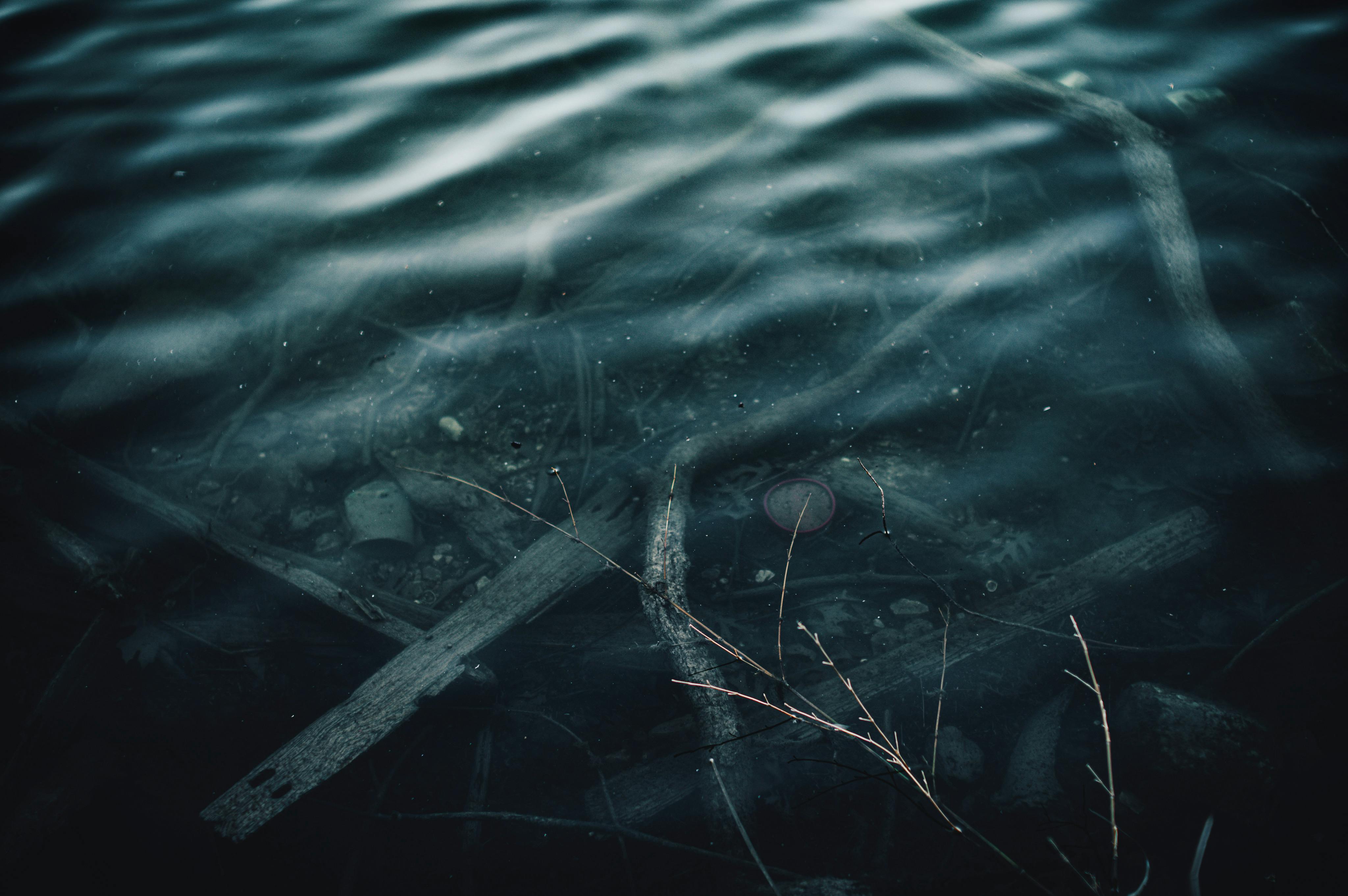 Dark and mysterious underwater scene with branches and debris creating an eerie atmosphere.