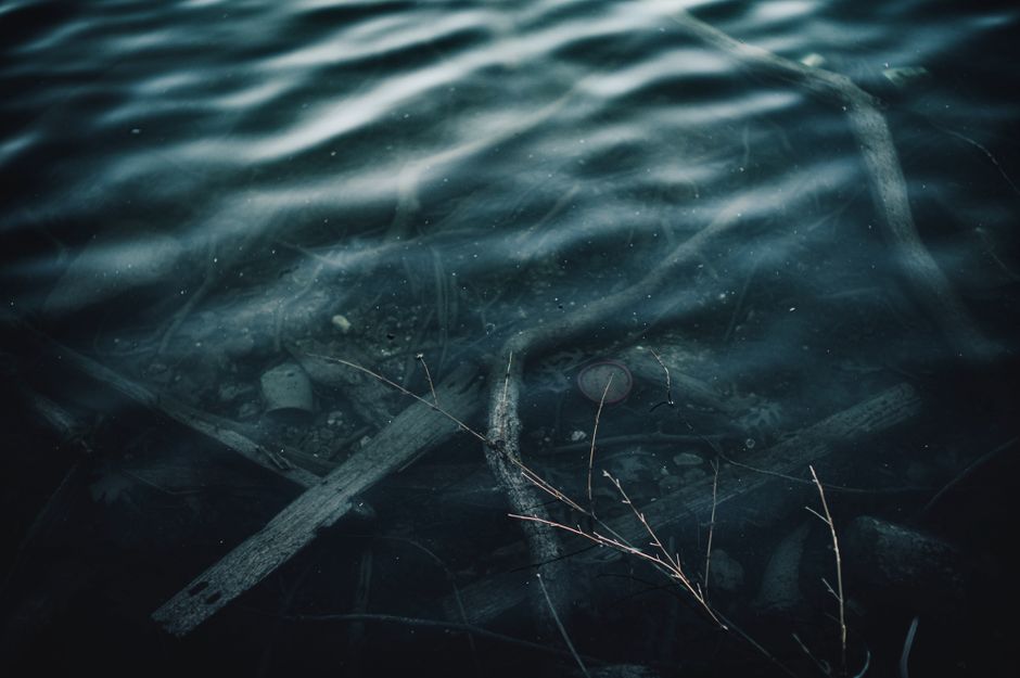 Dark and mysterious underwater scene with branches and debris creating an eerie atmosphere.