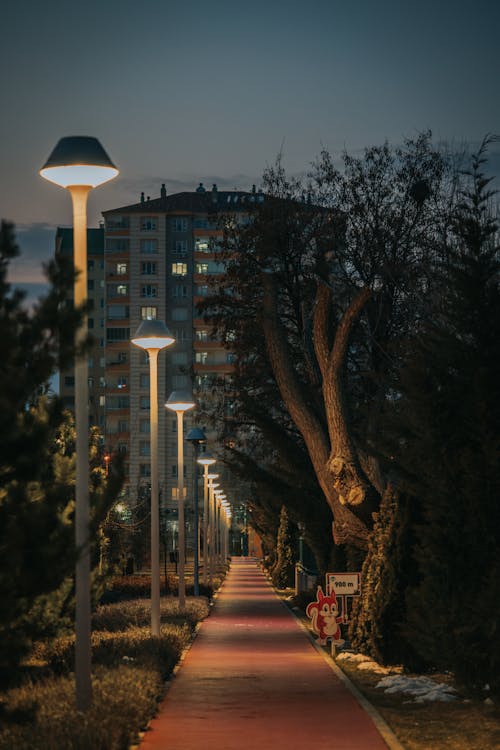 Illuminated Path in Park