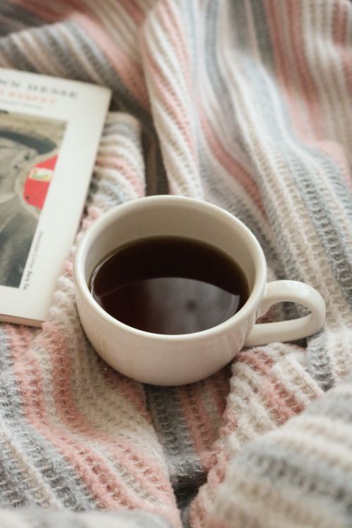Free Warm coffee on a striped blanket with a book for a cozy morning vibe. Stock Photo