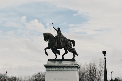 Imagine de stoc gratuită din arbori, artă, cer