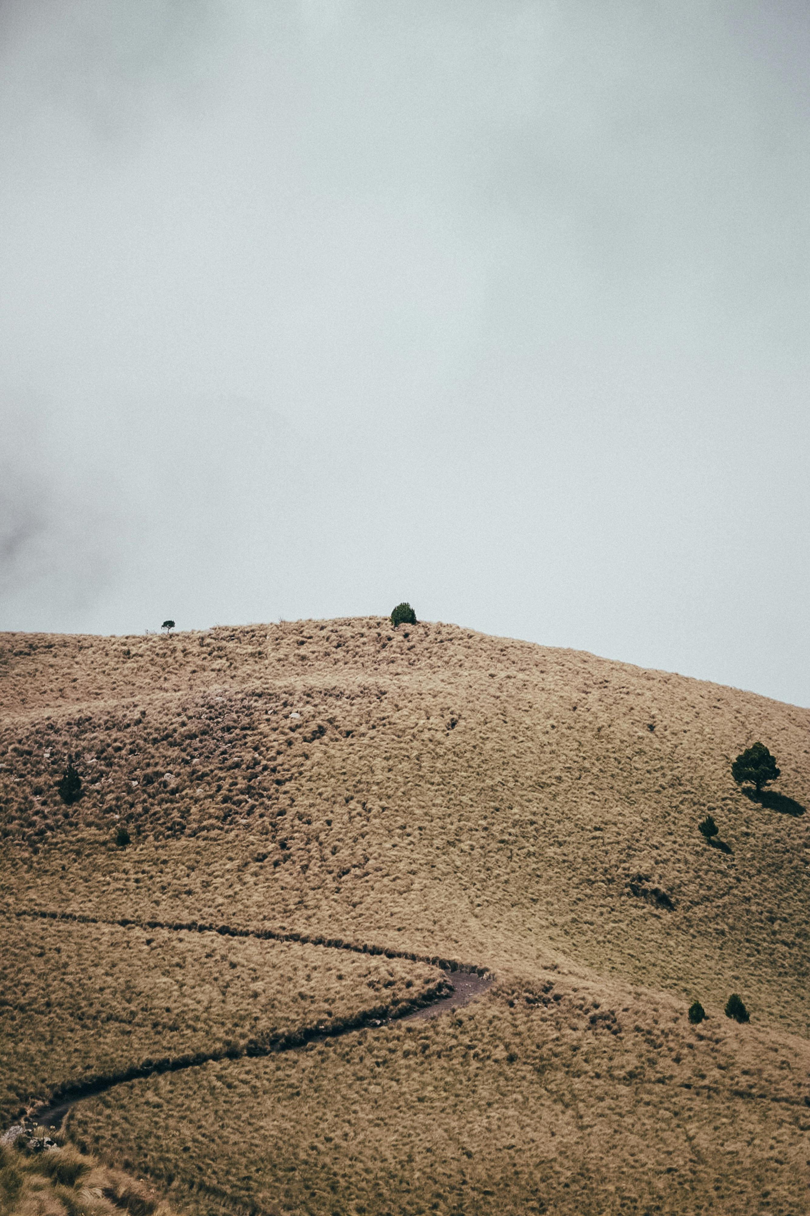 A peaceful landscape of rolling hills under a cloudy sky, ideal for calm and nature themes.