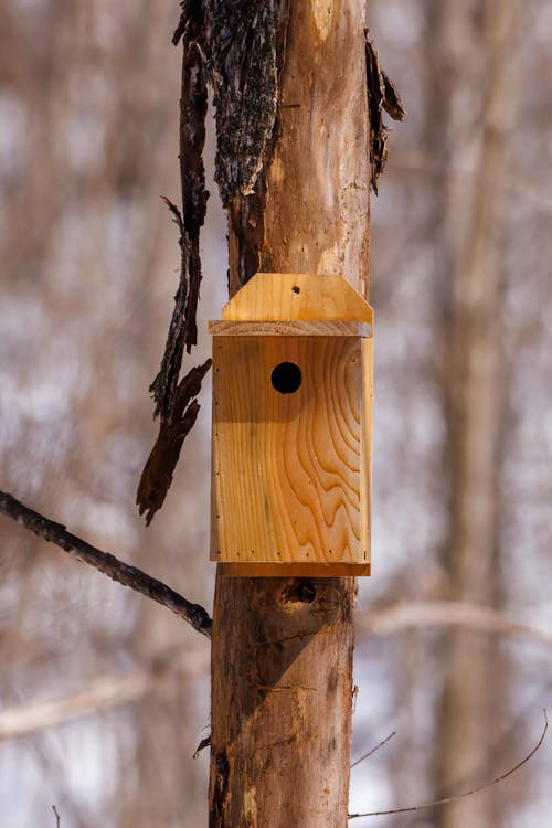 Close-up of a Wooden Birdhouse