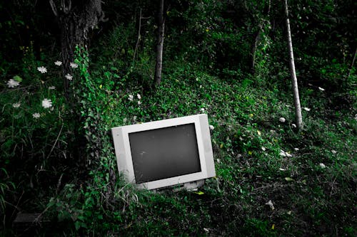 throwaway television