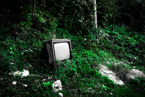 throwaway television