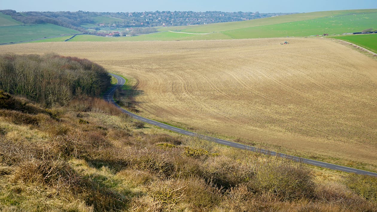 Photo of a Grass Field