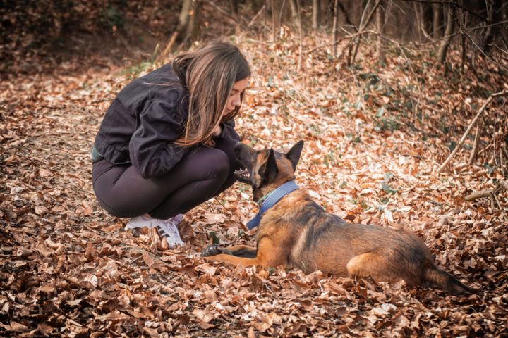 Tutora agachada conversando com calma com seu cão deitado entre as folhas