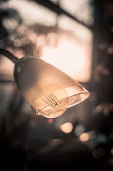 Warm light from a desk lamp with sunrise in the background, creating a cozy ambiance.