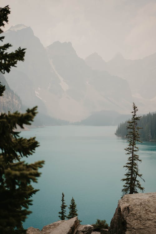 Immagine gratuita di alberi, lago, montagne