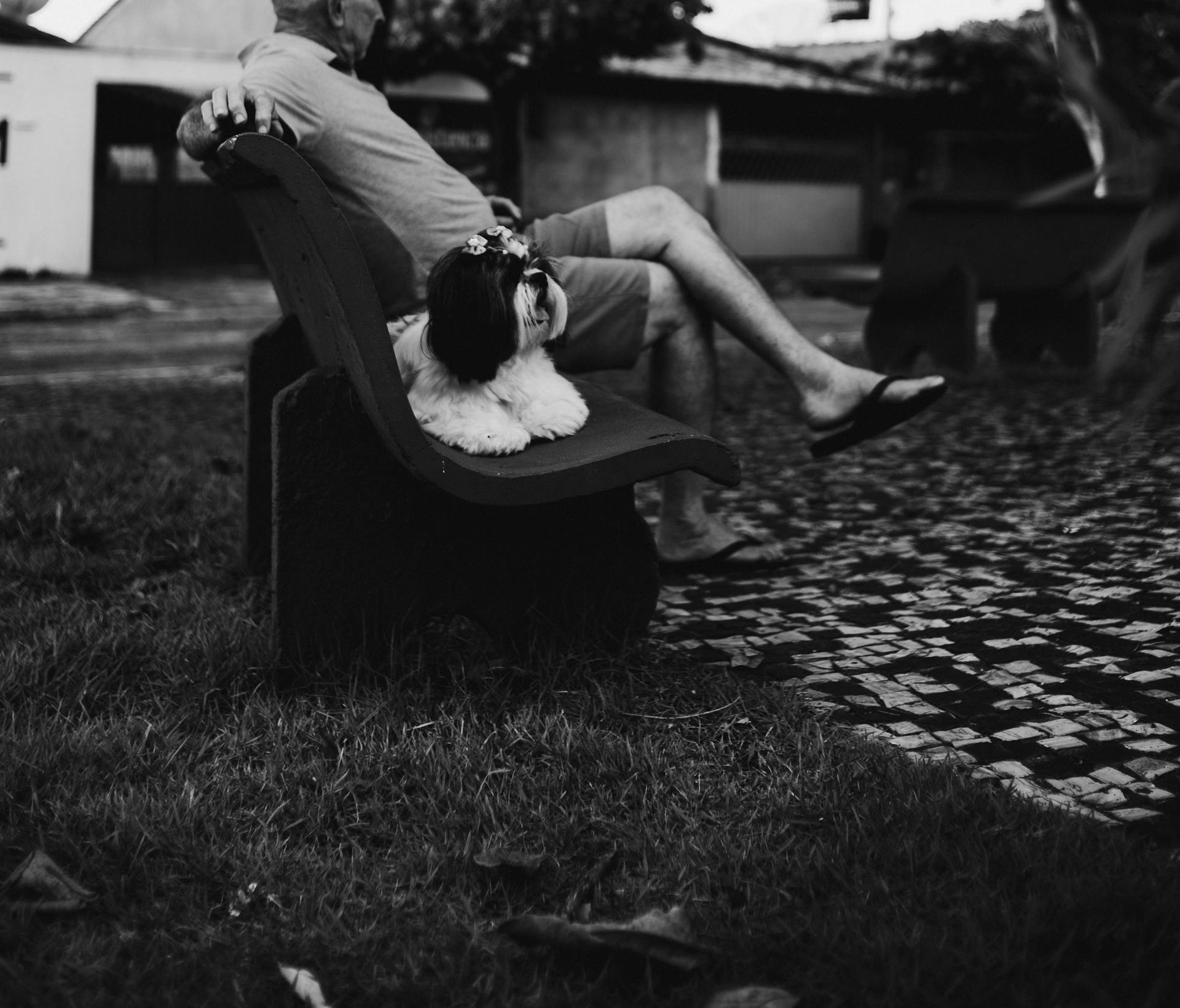 Grayscale Photo of a Cute Hairy Dog Sitting on a Bench Beside a Man