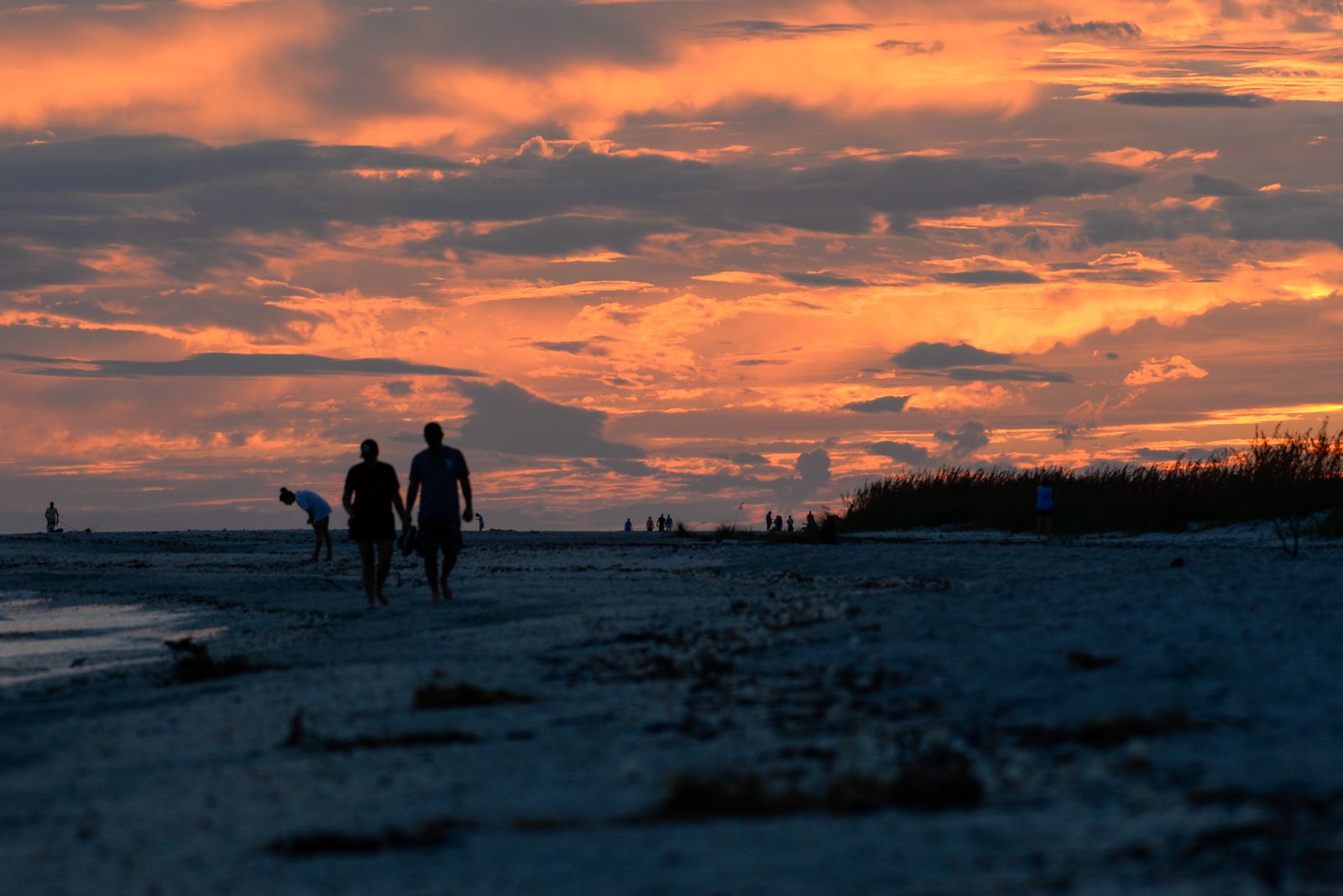 Silhouette of people walking on a Florida beach at sunset
