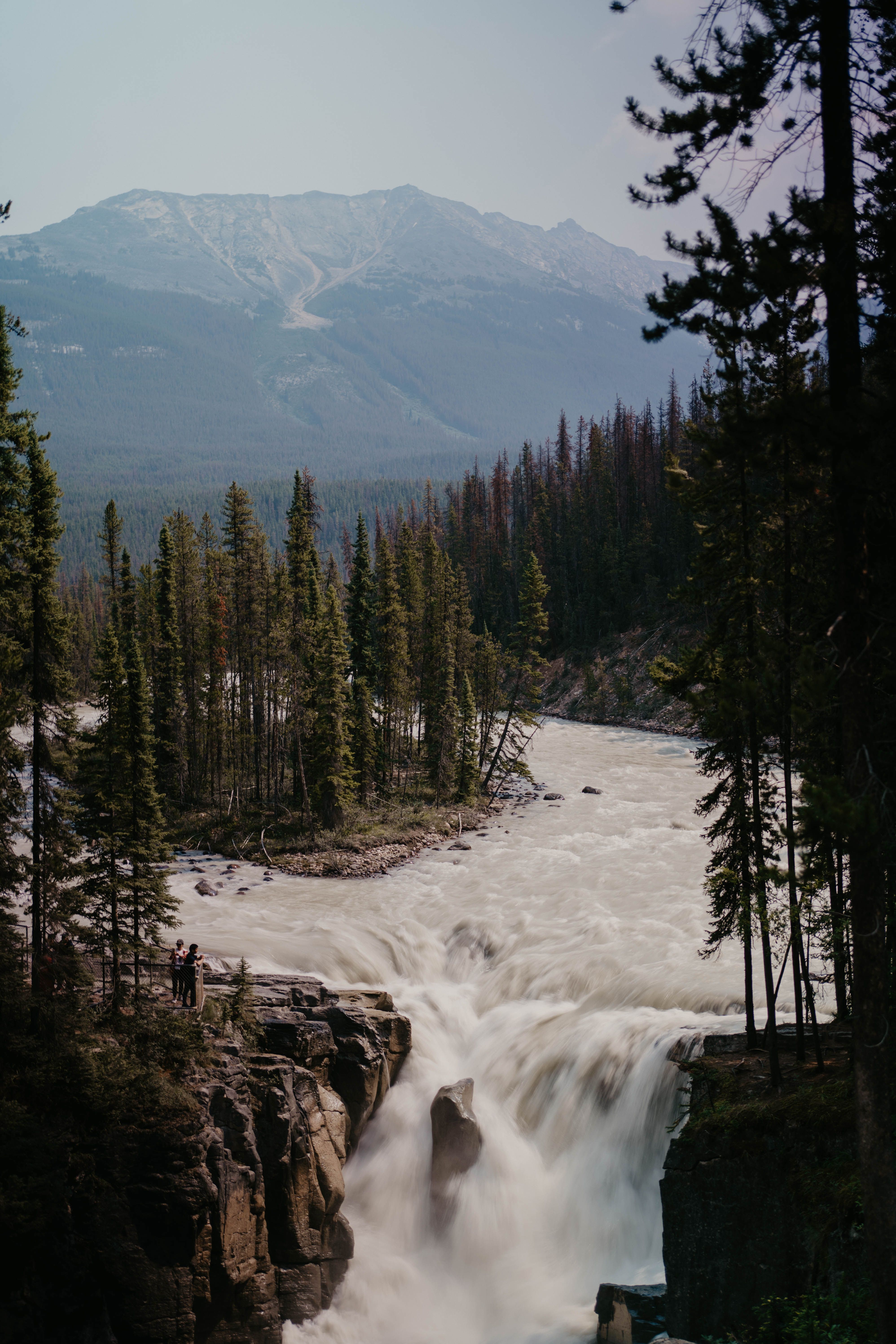 Waterfalls Between Trees · Free Stock Photo