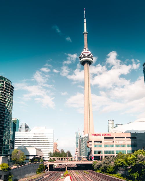 Free The Cn Tower in Toronto Canada  Stock Photo