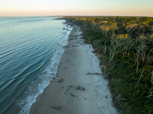 Aerial Photo of a Beach