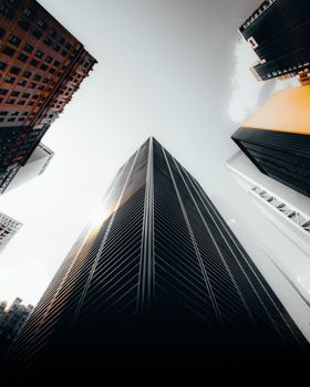 A striking low angle shot capturing the towering skyscrapers in a cityscape with dramatic perspective.