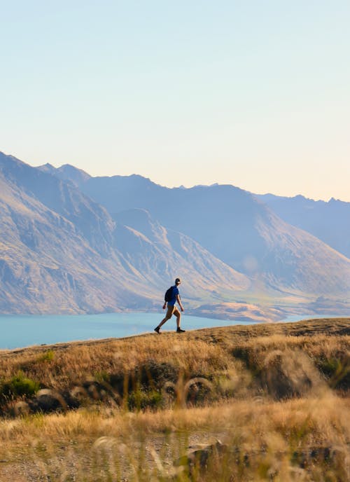 Free Hiker Walking on a Grass Field near a Lake Stock Photo