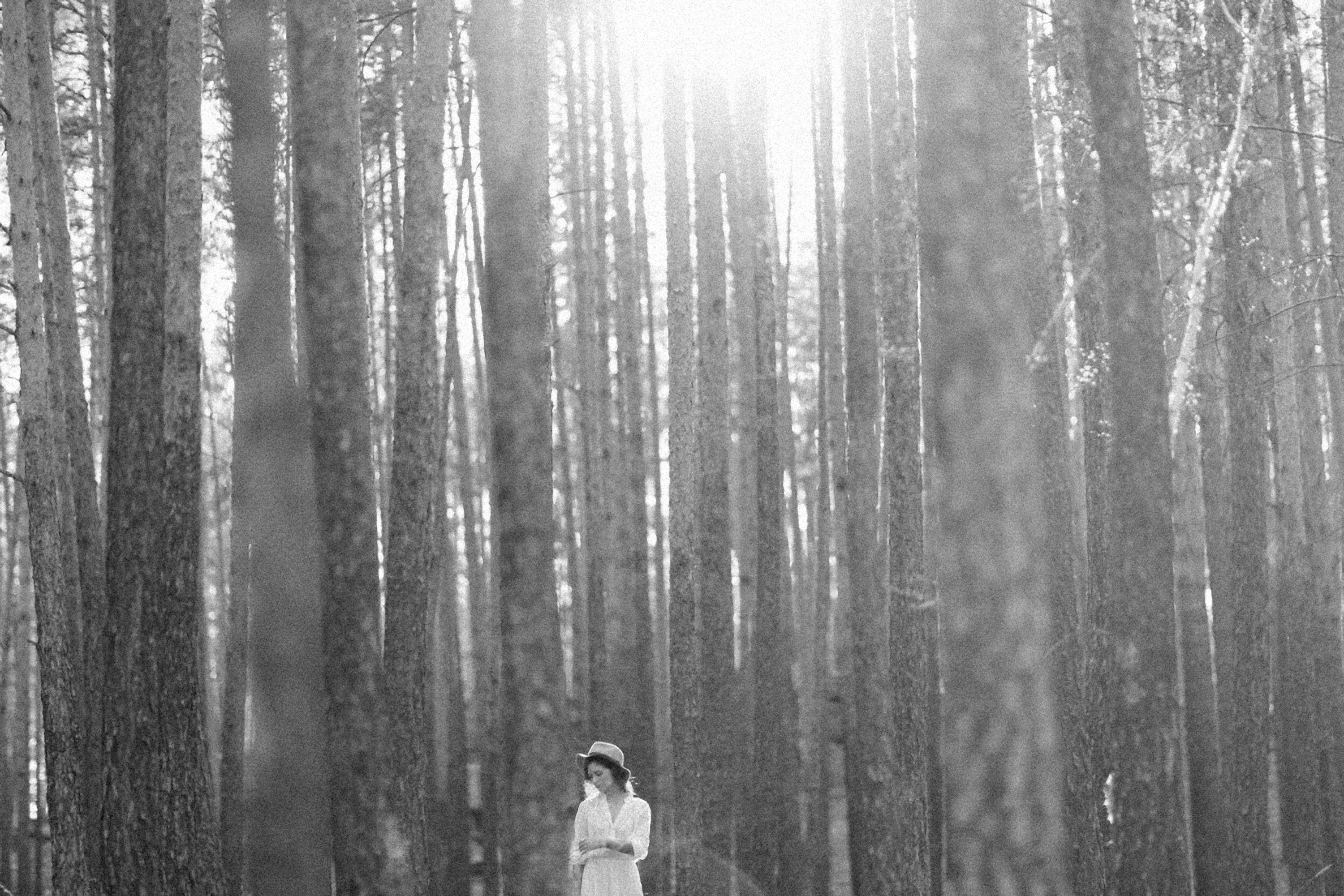 Understanding Dismissive Avoidant Attachment: Causes, Traits, and Healing