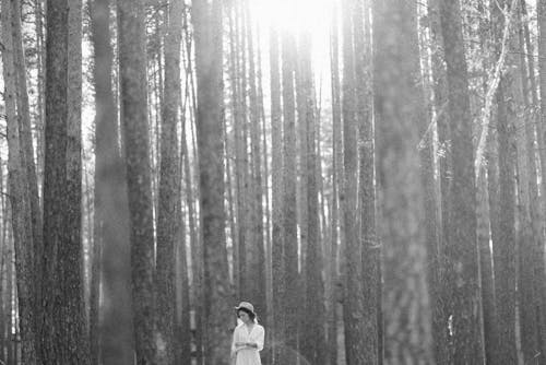 Woman in White Dress Standing Under Tall Trees