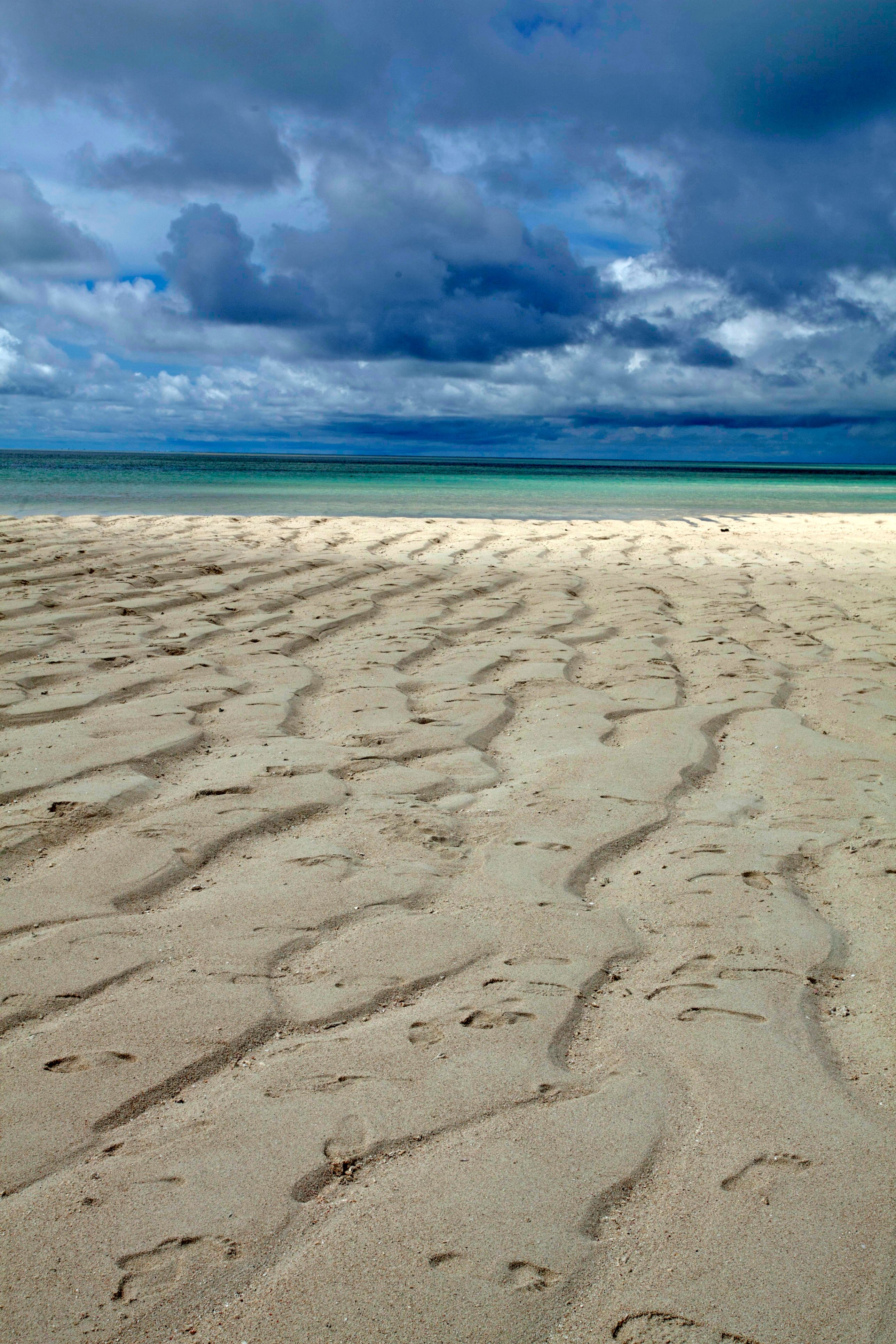 White Sand Beach Under Blue Sky · Free Stock Photo