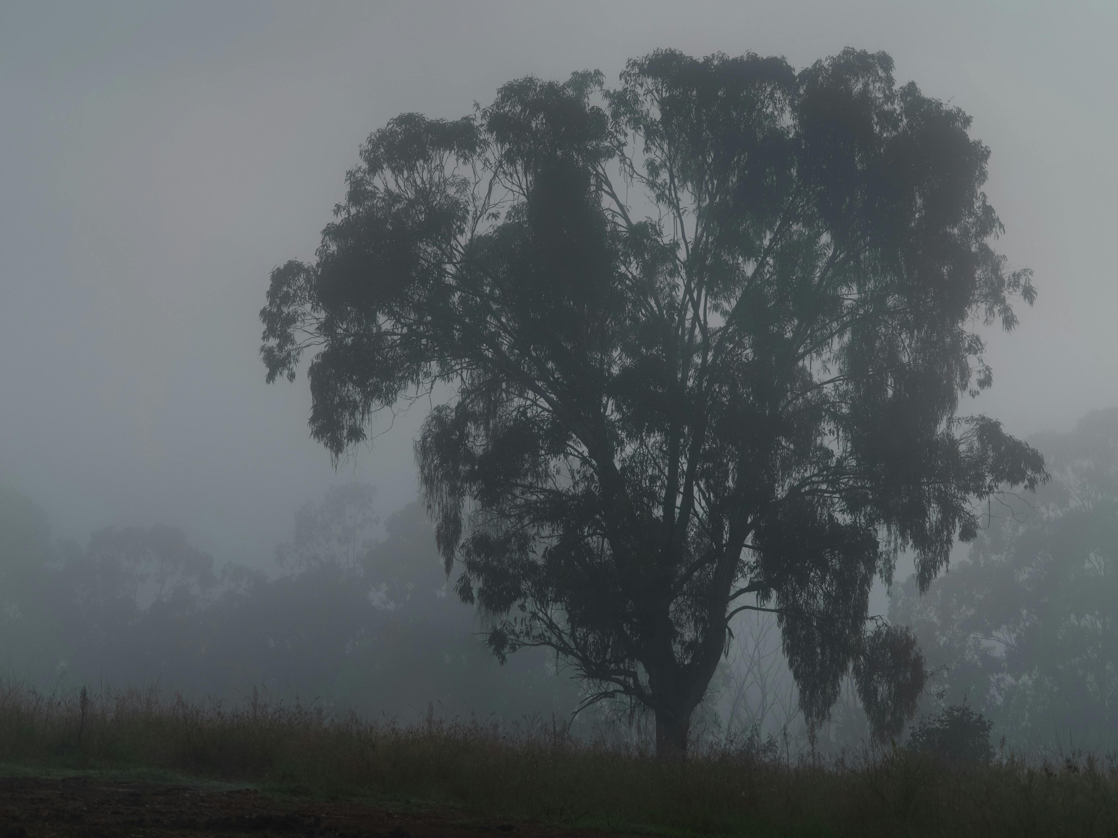 Group of people playing a card game at a table