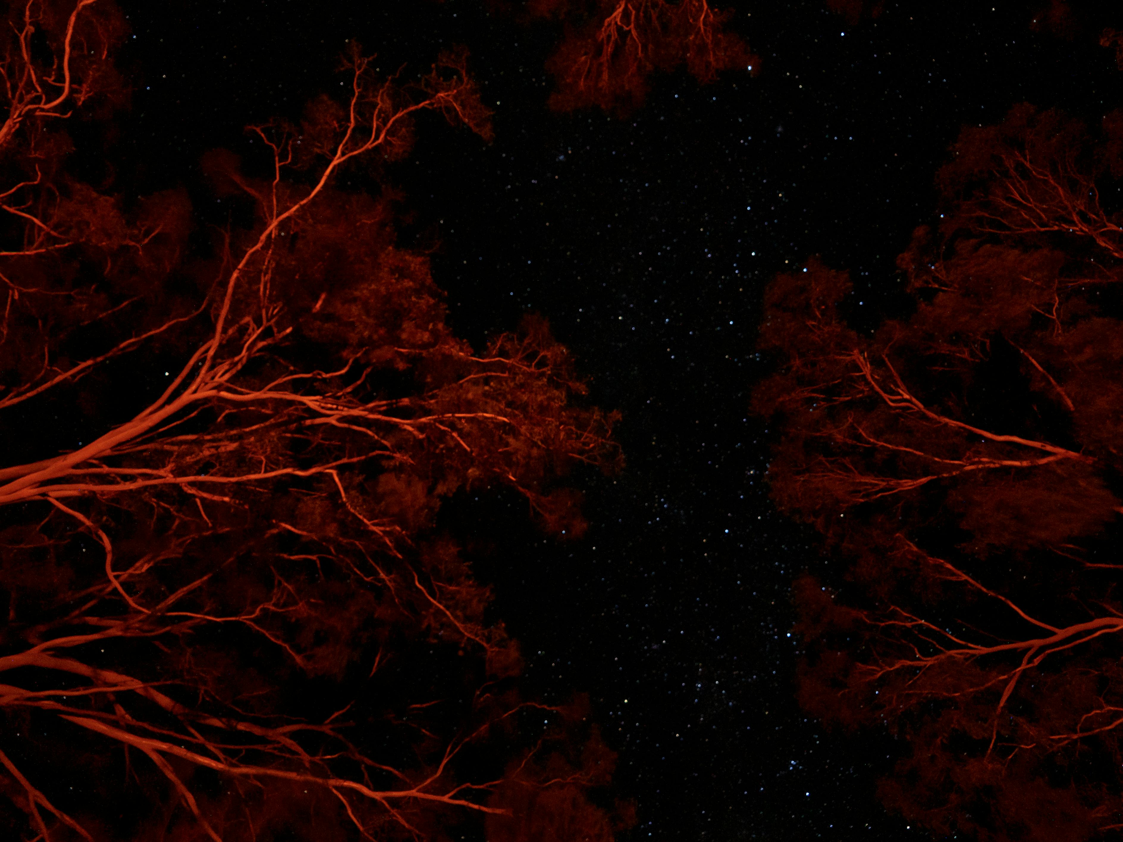 Friends gathered around a table smiling and playing games