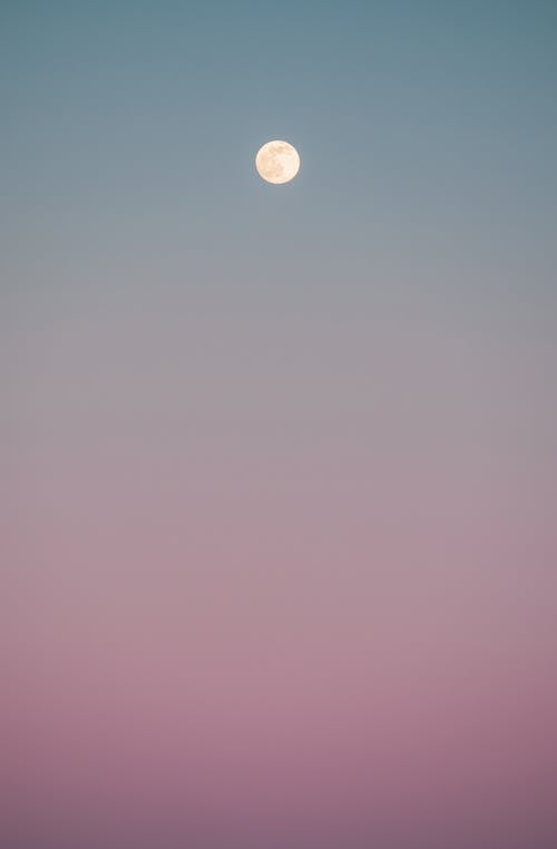Moon in a Twilight Sky · Free Stock Photo