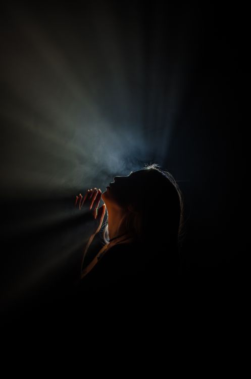 Light Rays behind Back Lit Profile of Woman · Free Stock Photo