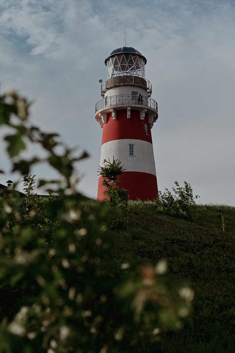 Cape Palliser Lighthouse In New Zealand