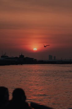 A dramatic sunset over Istanbul's Bosphorus with a bird silhouetted against the sky, exuding tranquility and freedom.