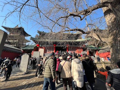 Immagine gratuita di buon capodanno cinese, grande gruppo di persone, paesaggio