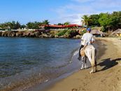 Man in White Shirt Riding White Horse on Beach