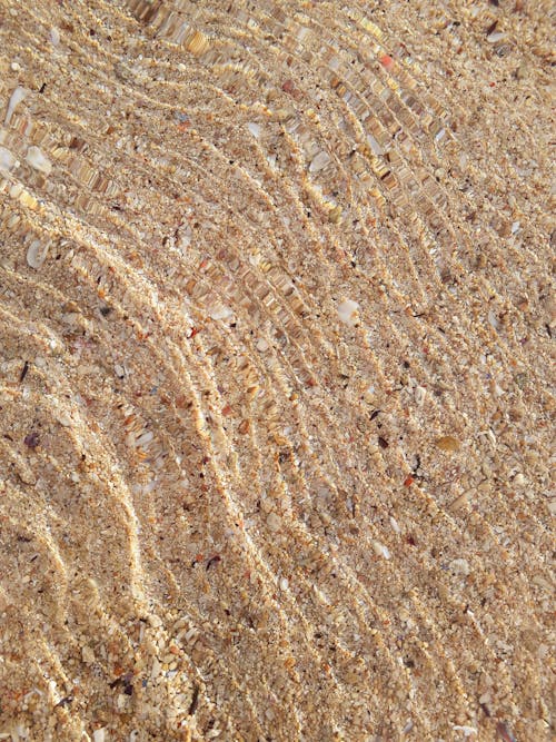 맑은, 모래, 물의 무료 스톡 사진