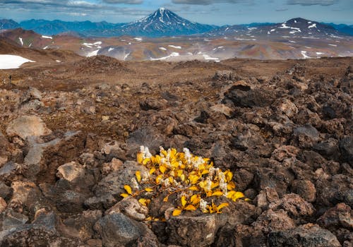 Landscape of Mountains and Volcano 